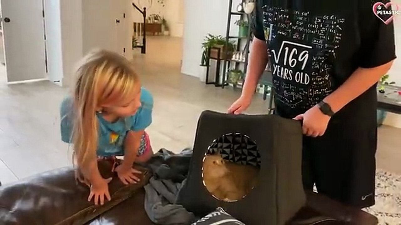 Funny Animal Videos Part 23