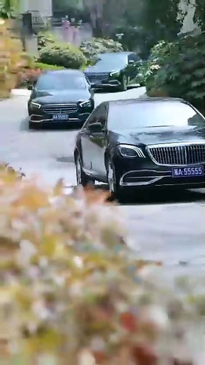 Ten Years of Sacrifice: Framed for the Adopted Son / They Chose Him Over Blood / From Trash to Throne /The Decoy Son / Jailed for their Golden Boy / Silent Asylum : The Adopted Son's Crime [Full Movie]