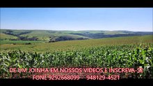 FAZENDA COM 565 ALQUEIRÃO A VENDA CMC