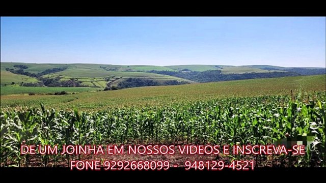 FAZENDA COM 565 ALQUEIRÃO A VENDA CMC