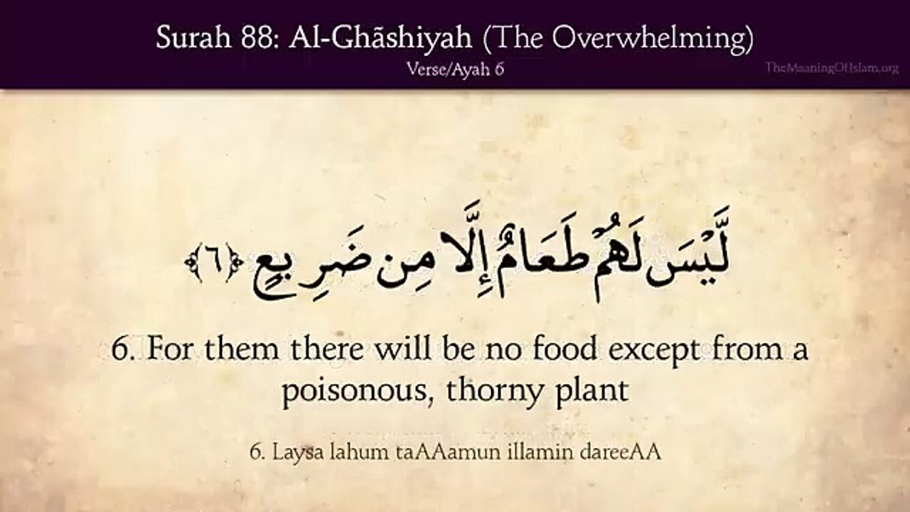 Quran_ 88. Surat Al-Ghashiyah (The Overwhelming)_ Arabic and English translation HD
