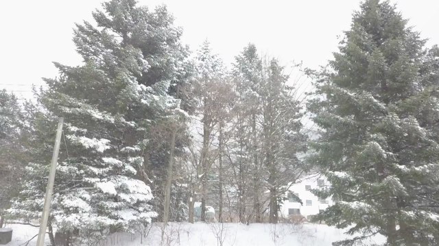 [날씨] 전국 비바람·강원 산간 '대설경보'...내일 아침 쌀쌀 / YTN