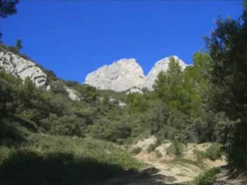 Dentelles de Montmirail