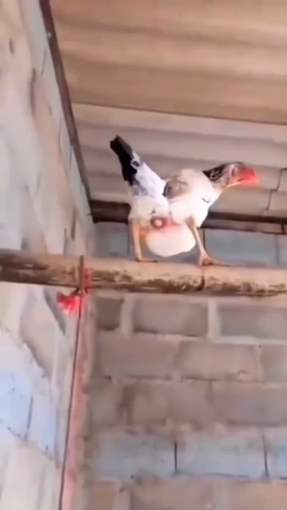 Tout ce que tu dois savoir sur les hooks est dans cette vidéo ! C’est quoi un hook, quels sont les éléments d’un hook ?