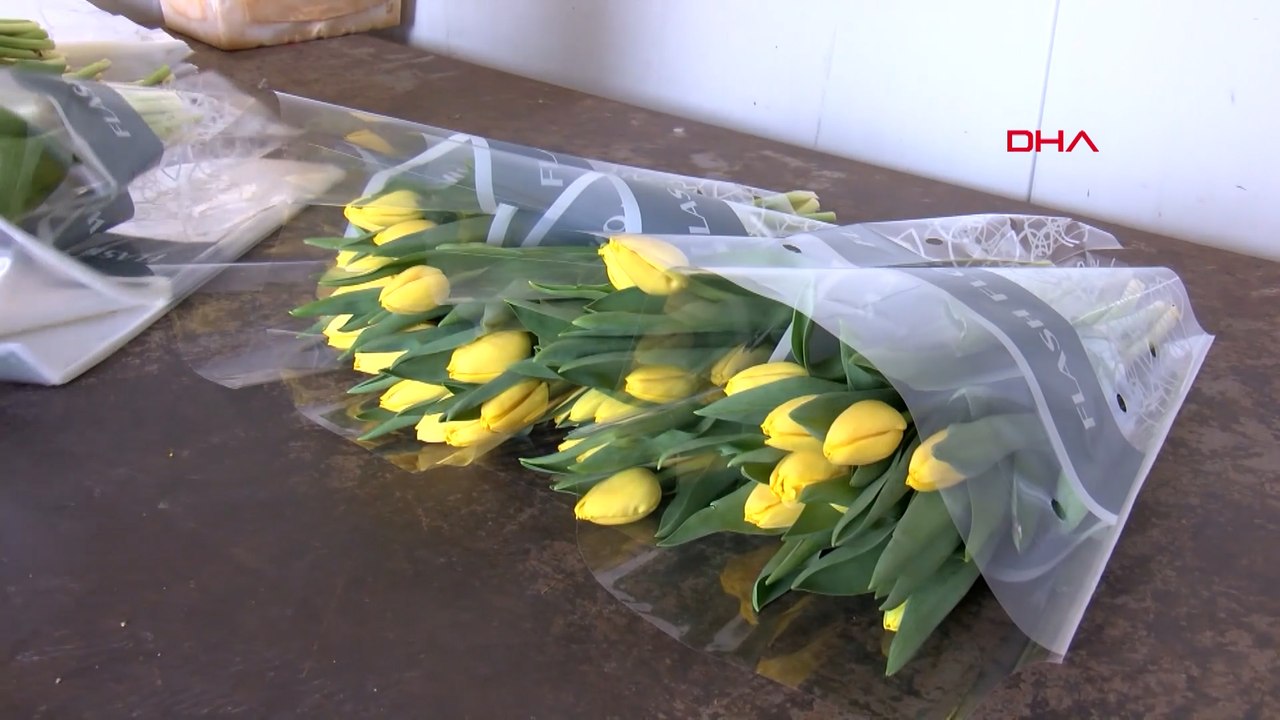 Kadınlar Günü'ne özel suda lale üretimi