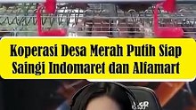 Koperasi Desa Merah Putih Siap Saingi Indomaret dan Alfamart
