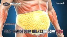 요요 방지를 위한 '다이어트' 팁! 유산소와 근력 운동을 병행해라?!