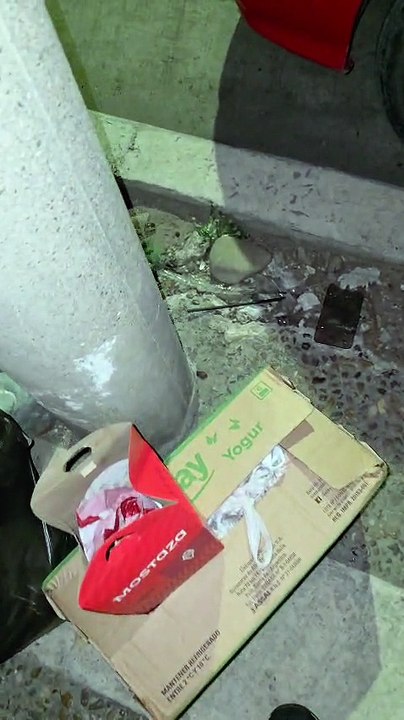 Invasión de ratas en la Vieja Terminal