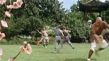 Jet Li [1982] - The Shaolin Temple CD1