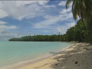 La mer qu'on voit monter