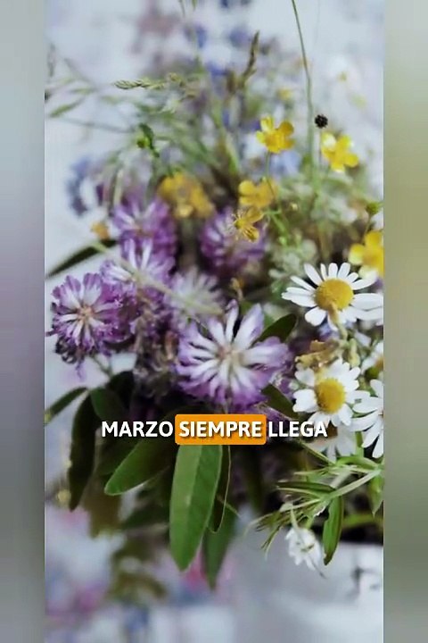 Marzo: los hechos históricos que cambiaron el mundo (y casi nadie recuerda)