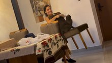 Cat reigns supreme on the chair as her owner dutifully carries her about the home