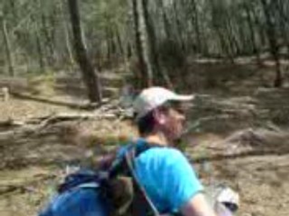 micky et les Moucheté