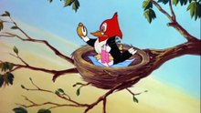 Tom And Jerry - 041 - Hatch Up Your Troubles (1949)