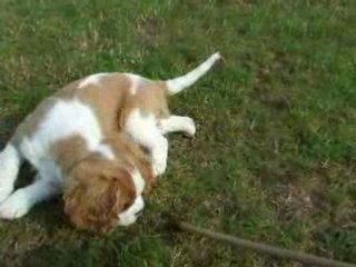 decla et le jeu du baton