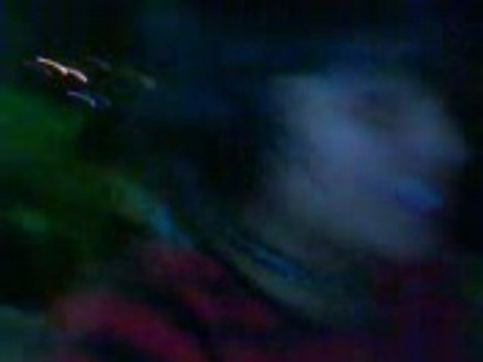 MOV00014 (1)