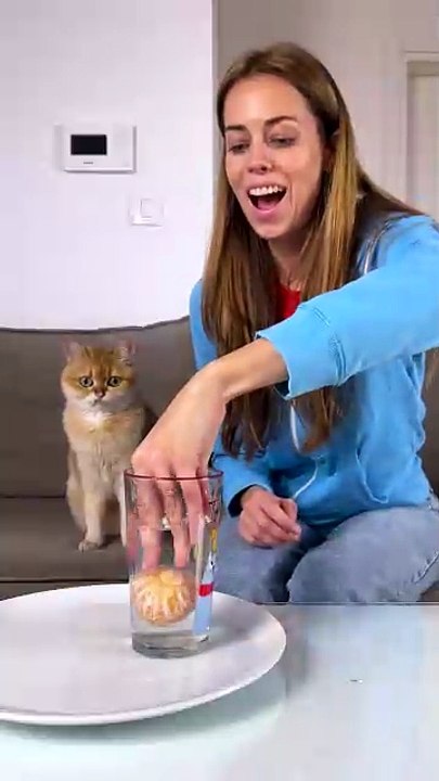 Proof That Cats Have Very Specific Tastes 😼