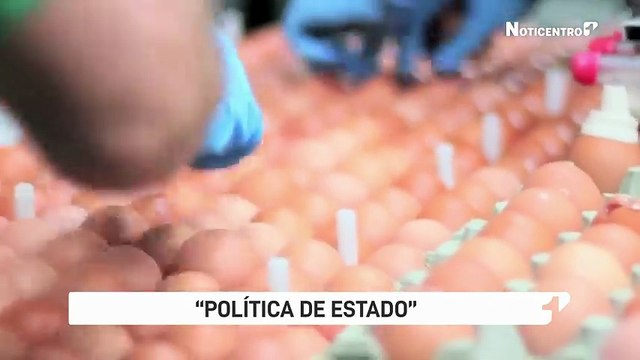 Necesitamos darle un empuje al campo para crecer : Juan Felipe Montoya, presidente de Huevos Kikes