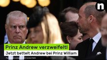 Prinz Andrew verzweifelt: Jetzt bettelt Andrew bei Prinz William