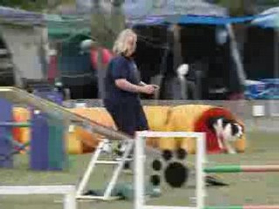 Enjeu expert 18 mai 2008