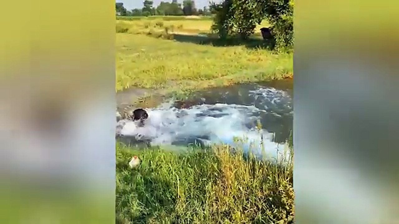 Funny Videos Part 2