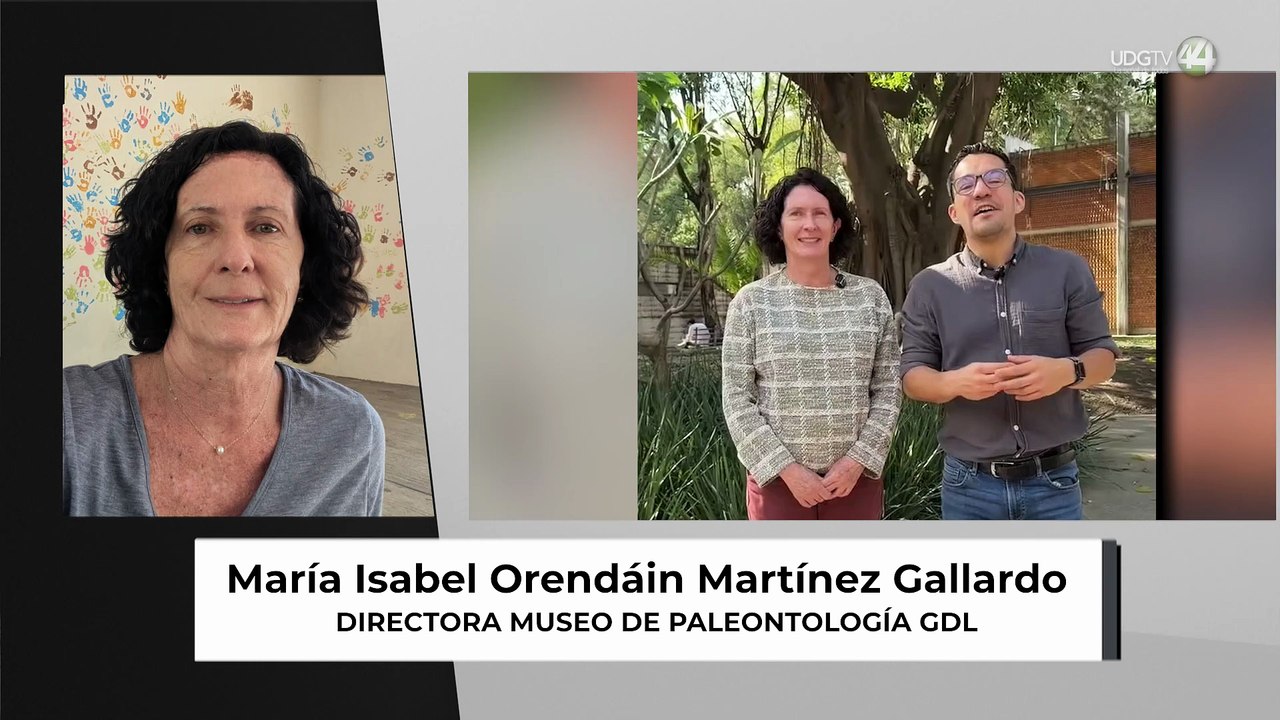 Entre fósiles y hormigas el Museo de Paleontología renueva su oferta educativa