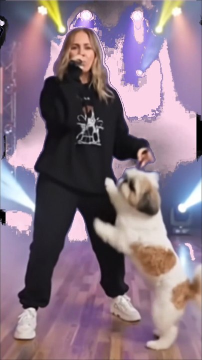 New funny video