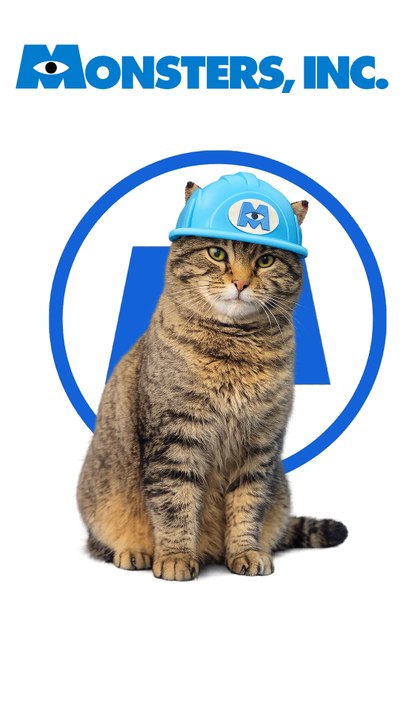 MONSTERS INC CAT