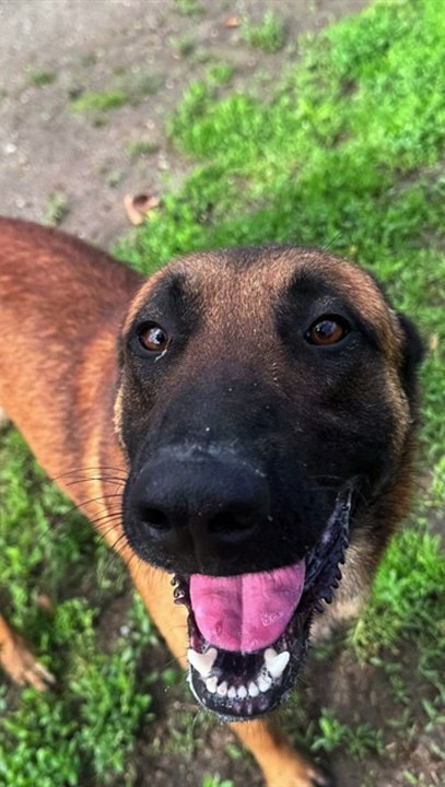 Deadline must exit by 3/4  #A1898485 Maximus