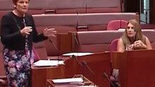 ‘I’ve been called a b***h by the racist!’ Pauline Hanson and Lidia Thorpe’s war of words in Senate