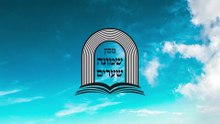 %תומר דבורה 16 ב