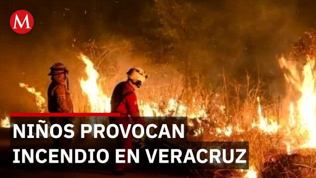 Incendio forestal consume 30 hectáreas por juego con pirotecnia en Veracruz