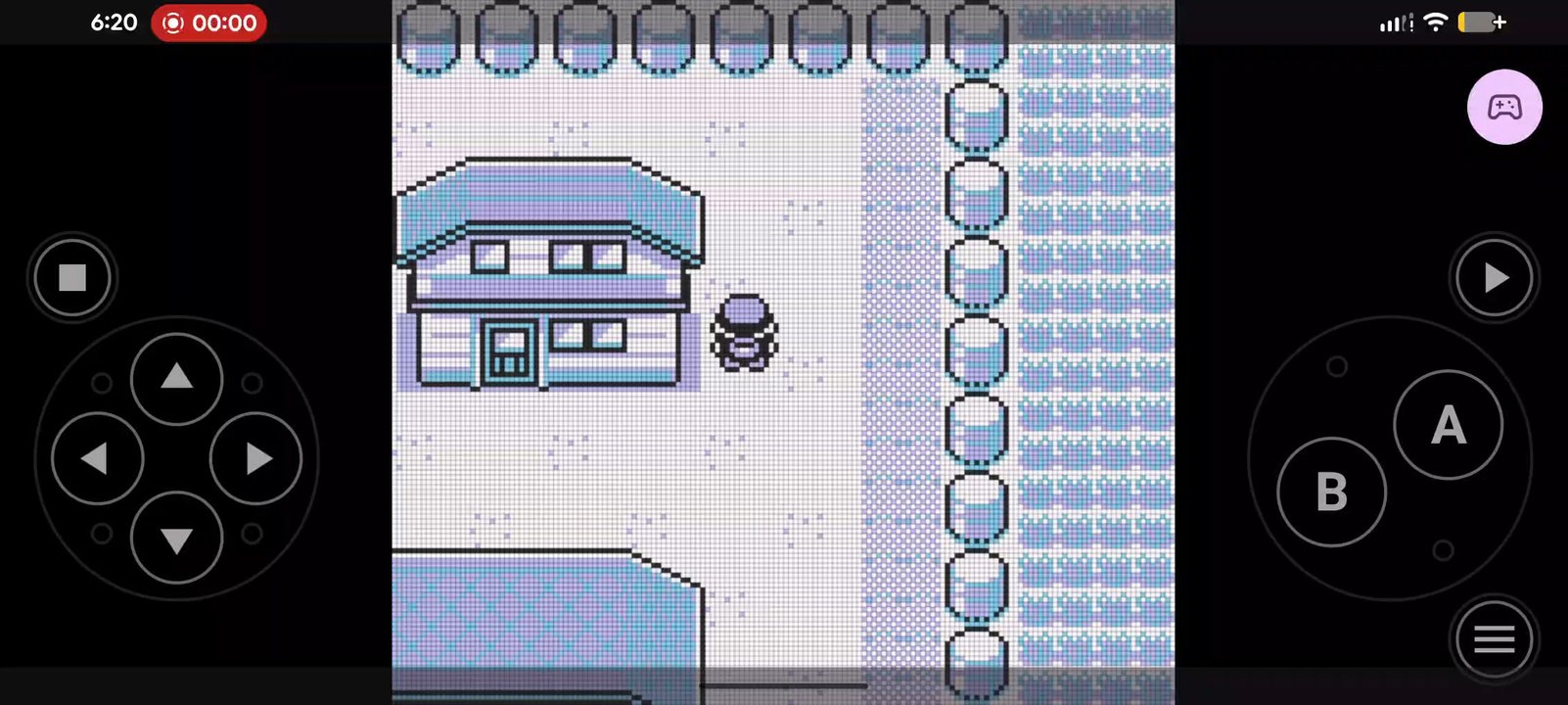 Pokemon Yellow