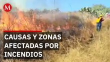 La imprudencia humana detrás de los incendios forestales en Hidalgo