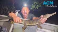 'Newcastle crocodile' captured in suburban creek after days-long search