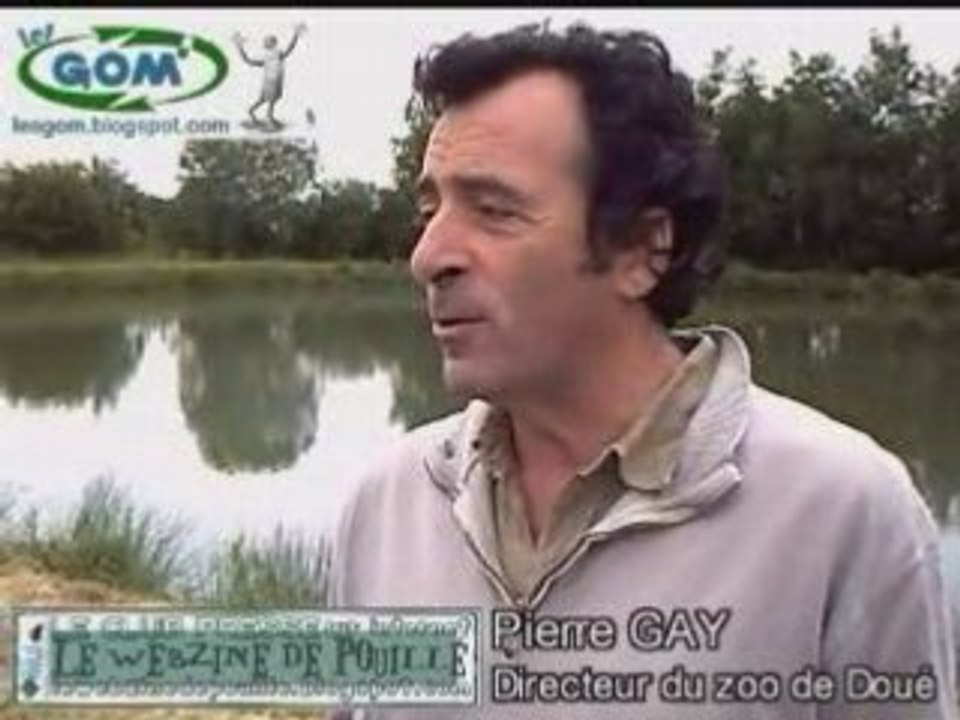 Interview Pierre Gay