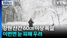 강원 산지 60㎝ 폭설...산불 걱정 덜었지만, 눈 피해 우려 / YTN