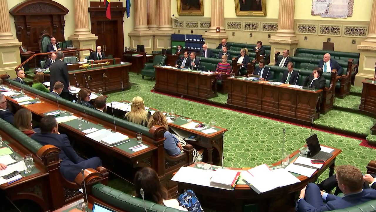 SA politicians put in the work as election with record number of candidates approaches