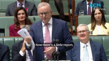 PM sensationally tables Liberal Party's secret review election review