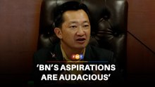 DAP man takes swipe at BN after trio miss term limit vote