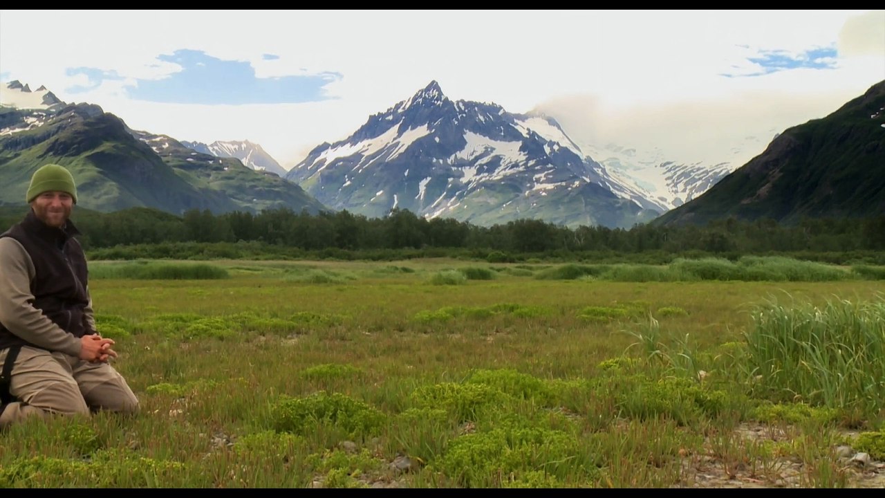 Der Bär in mir | movie | 2019 | Official Trailer