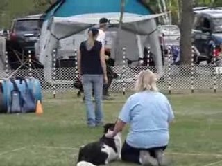 Relais Tamy et Miss 17 mai 2008