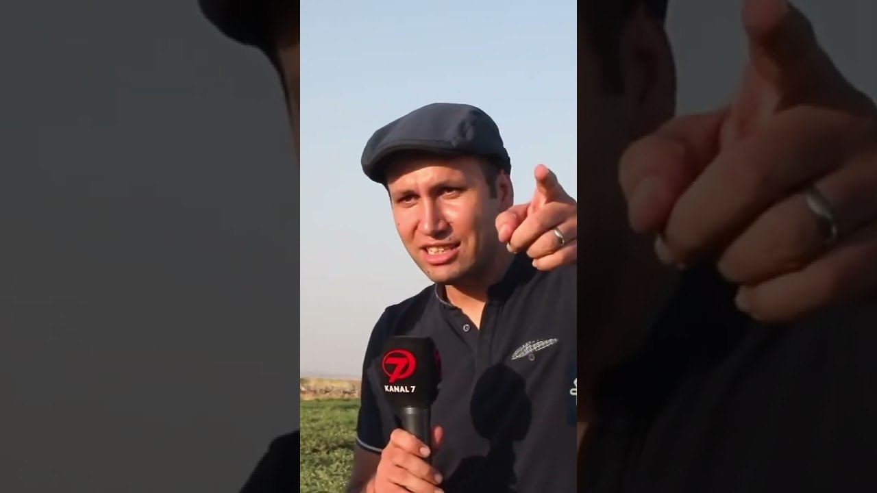 Karpuzun Saymakla Bitmeyen Faydaları😊 #dünyanıntadı #yemektarifleri