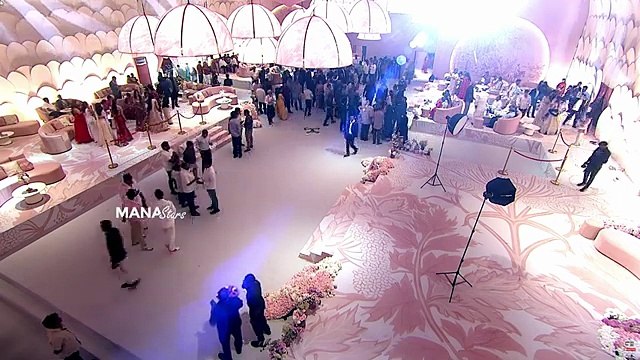 Allu Arjun Son Allu Ayaan & Allu Arha Visuals @ Allu Sirish & Nayanika Pre Wedding Reception