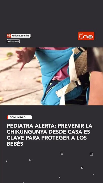 Ante el riesgo de chikungunya, un pediatra recomienda mantener medidas básicas de higiene, evitar agua estancada y usar repelente adecuado según la edad del niño.