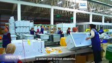 Od surowców do eksportu z wartością dodaną: strukturalna transformacja handlu