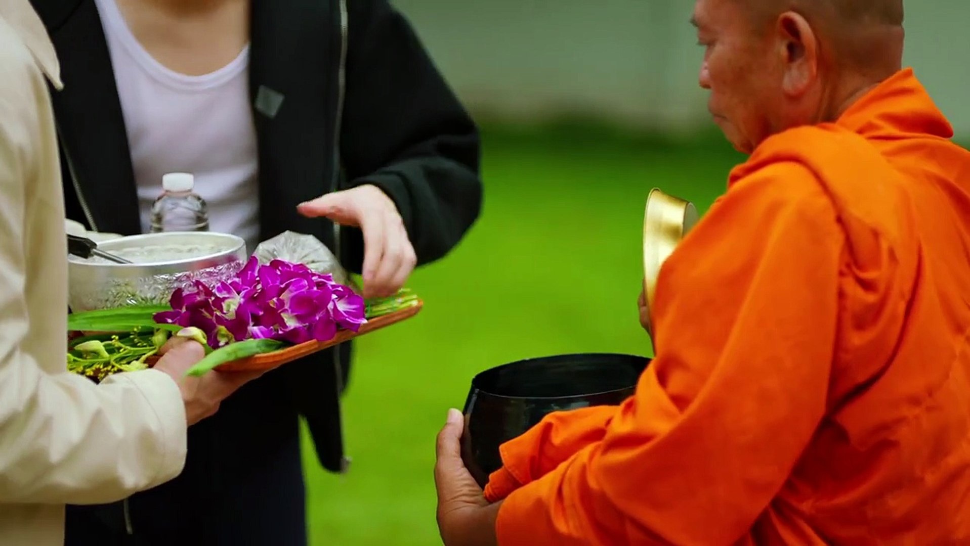 New Peach Lover (2026) Episode 08 2026 Full HD Movie