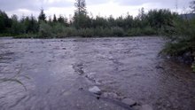 River Flow for Focus • Continuous Natural Water Sound (Day to Dusk)