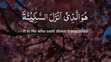 🌿✨ Surah Al-Fatḥ (48:4) — سورة الفتح 🤍 The Gift of Sakīnah (Inner Peace) 🌙🕊️ #love #Quran #viral #shorts #trending #youtubeshorts #fyp #short #SurahAlFath #Sakinah #Faith #viral #shorts #trending #IslamicReminder