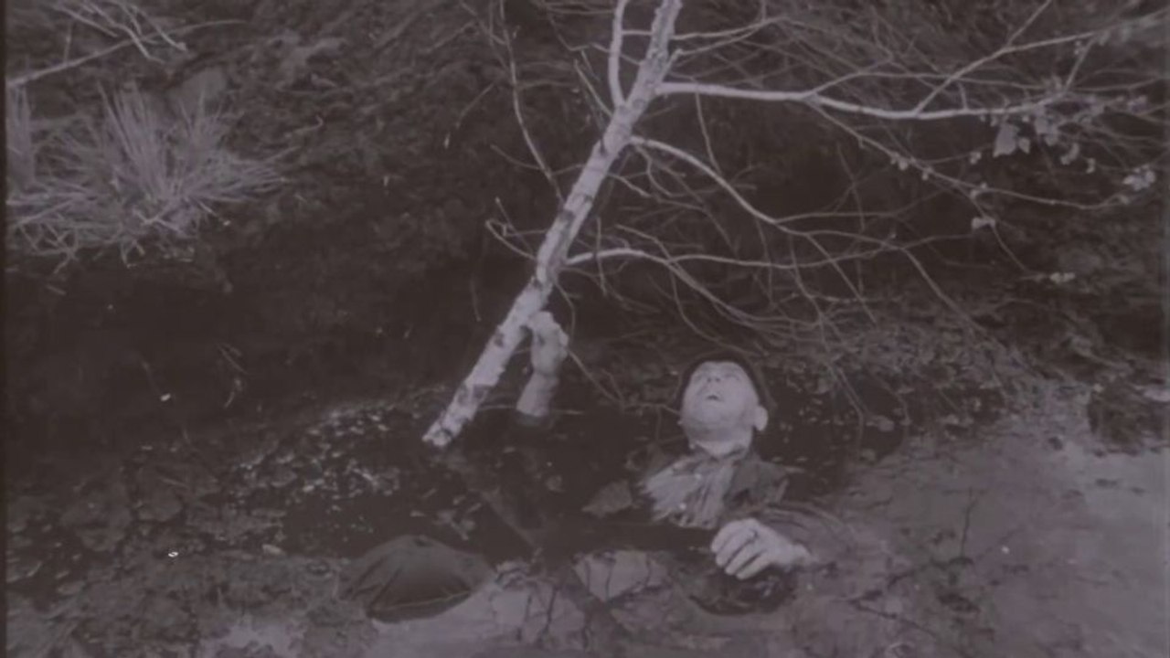 Nachts wenn der Teufel kam Trailer DF